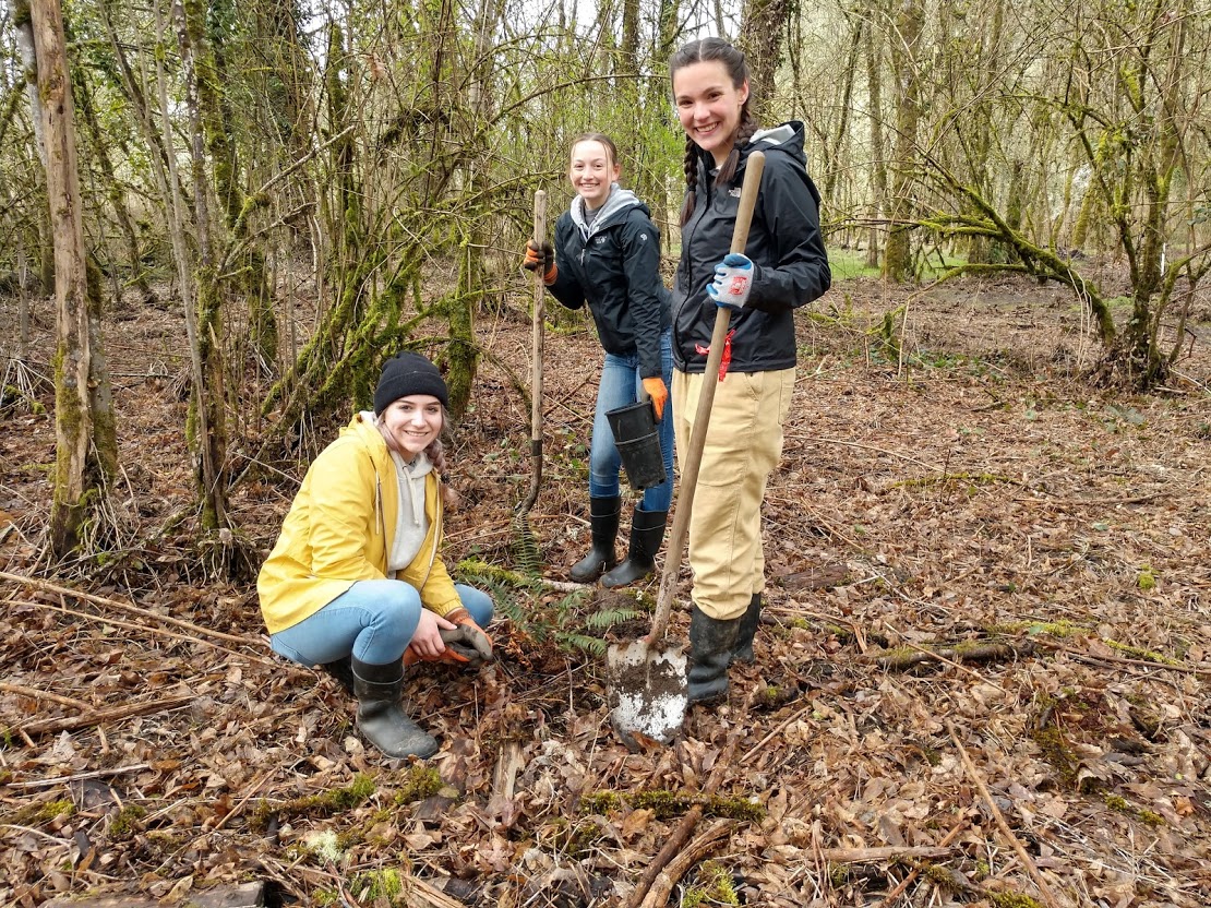 Streamside Habitat - Greater Yamhill Watershed Council