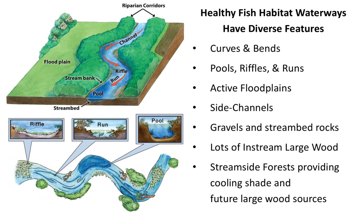 in-stream-habitat-greater-yamhill-watershed-council