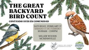 the great backyard bird count